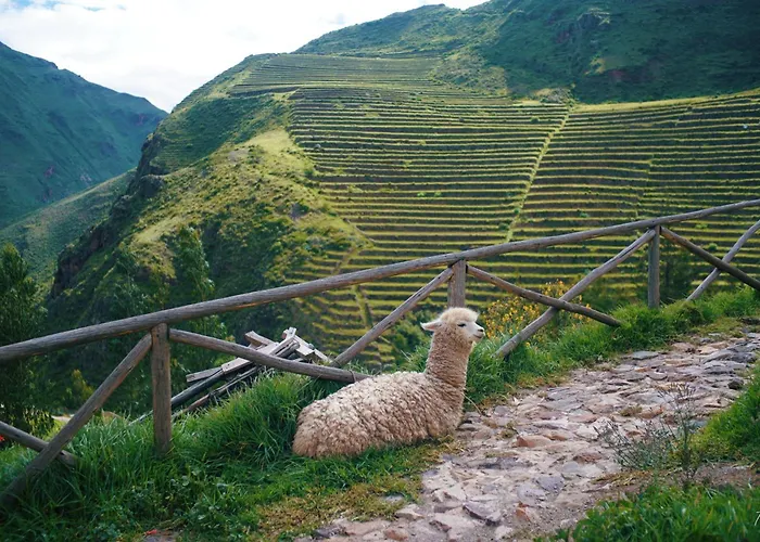 Qori Sonqo 3* Pisac